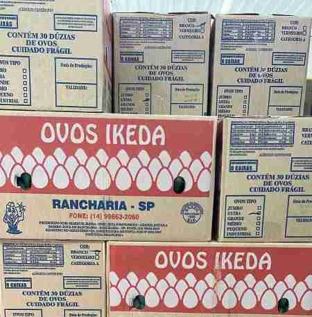 Jr Ovos Atacadista